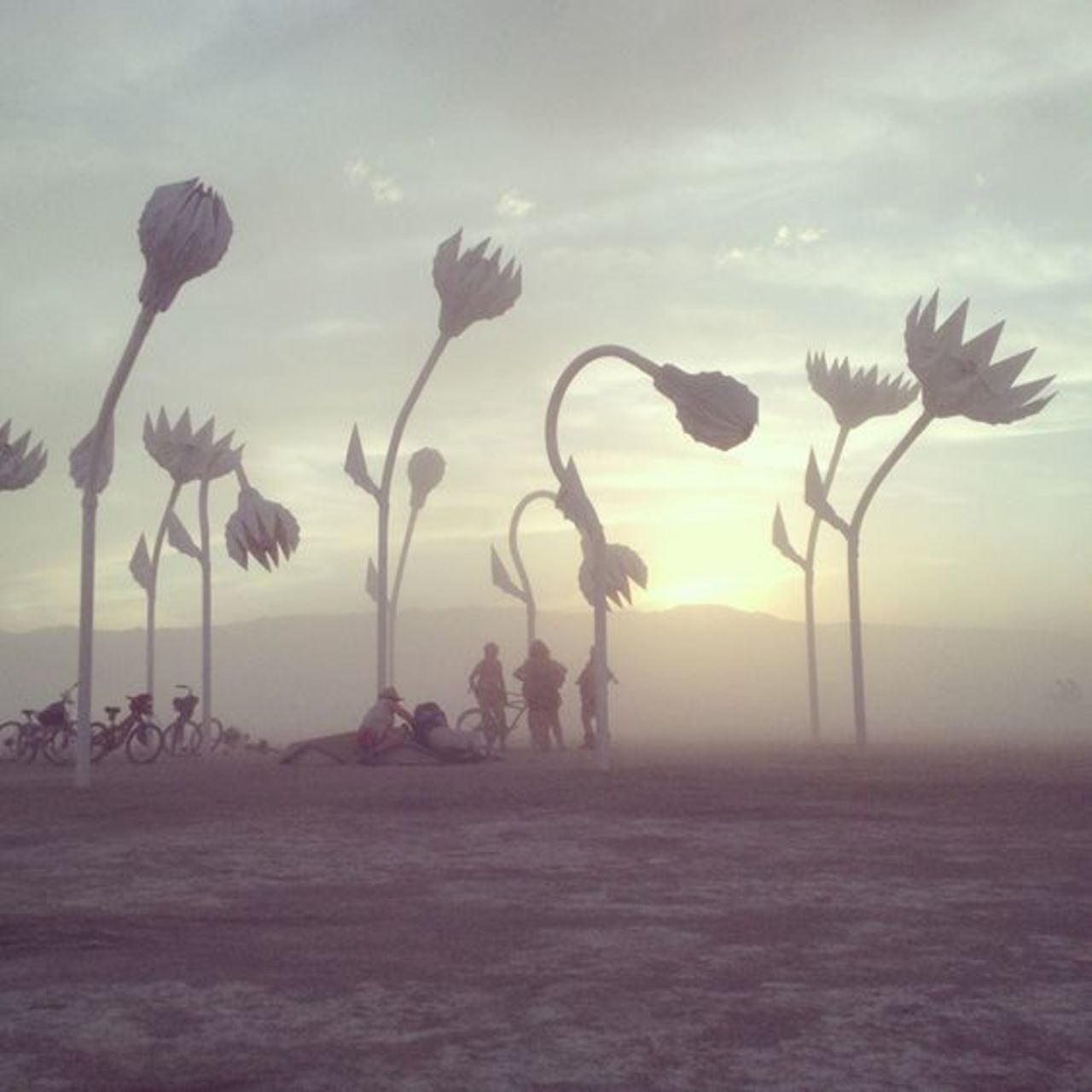 Giant Desert Flower Sculptures at Burning Man       •       #BurningMan #sculpture #streetart #art  . : https://t.co/N6v5dEpv09