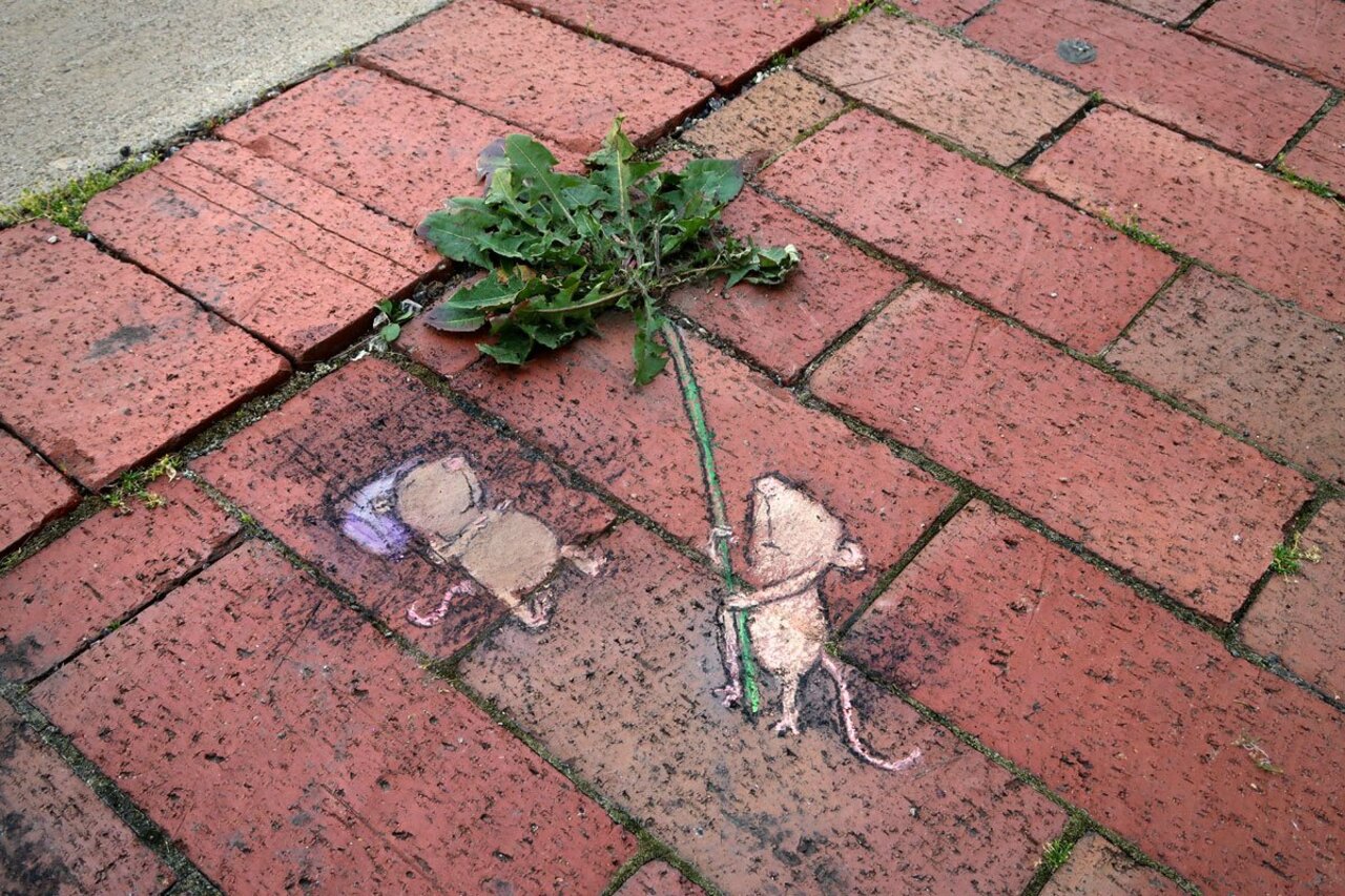 Friends know when and where to throw shade. #StreetArt #sidewalkchalk #graffiti #mouse #leisure https://t.co/4BY0q9yqqY