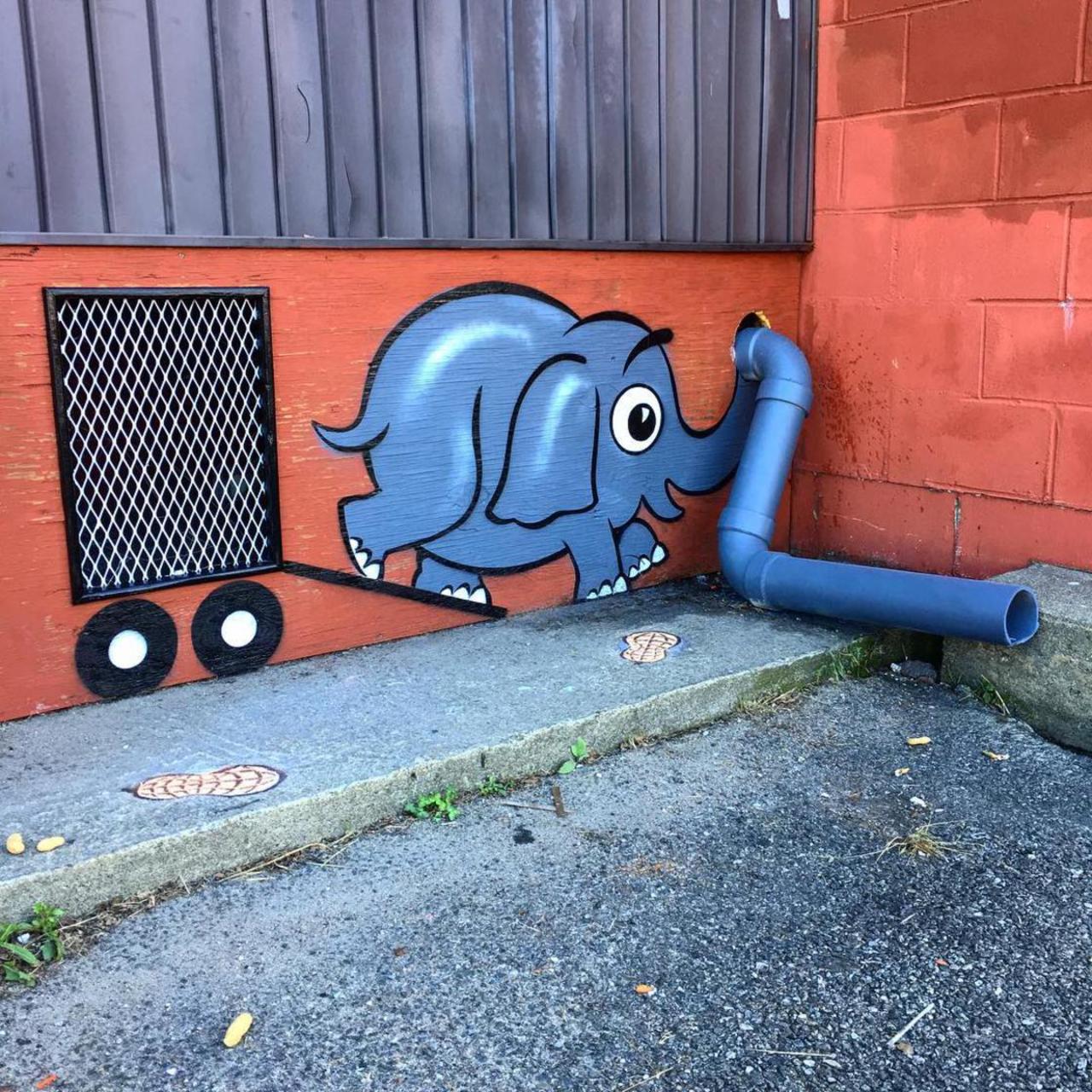 Coloured and weird animals in New York#streetart #urbanart #graffitiTom Bob https://t.co/KqnHkuygaM