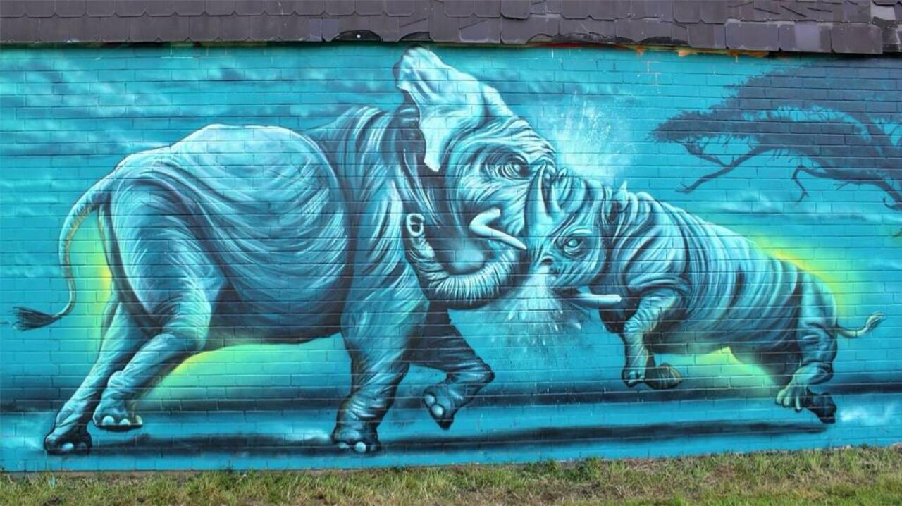 "Elephant vs. Rhino" - part of a big #mural I did #graffiti #art #hiphop #NVS #eNViouSCrew #style #stayburner http://t.co/XJDctlMWsM