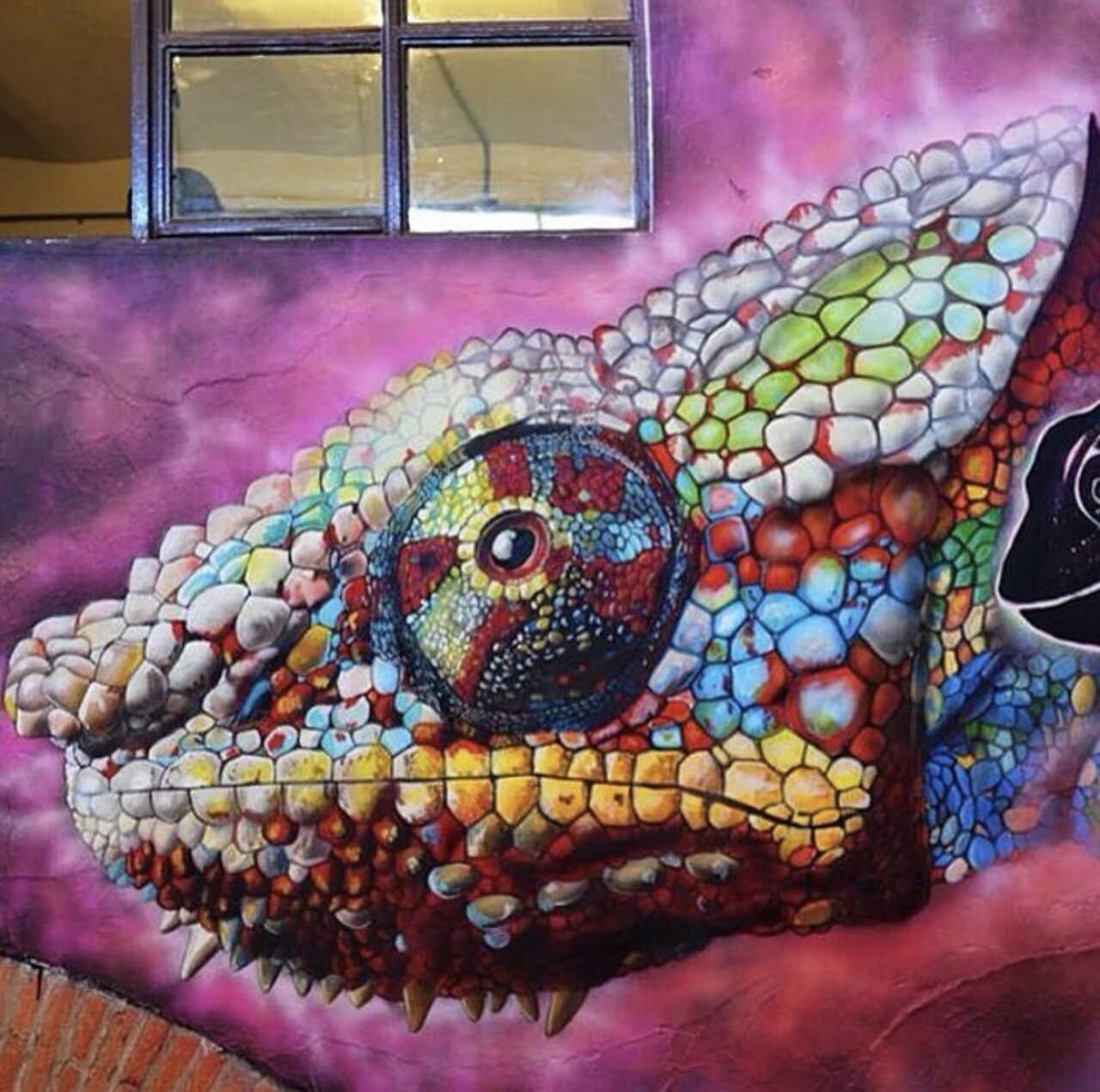 New work by ChungaSF in Aguascalientes, MX #streetart #mural #graffiti #art https://t.co/2XTLGyOQAu
