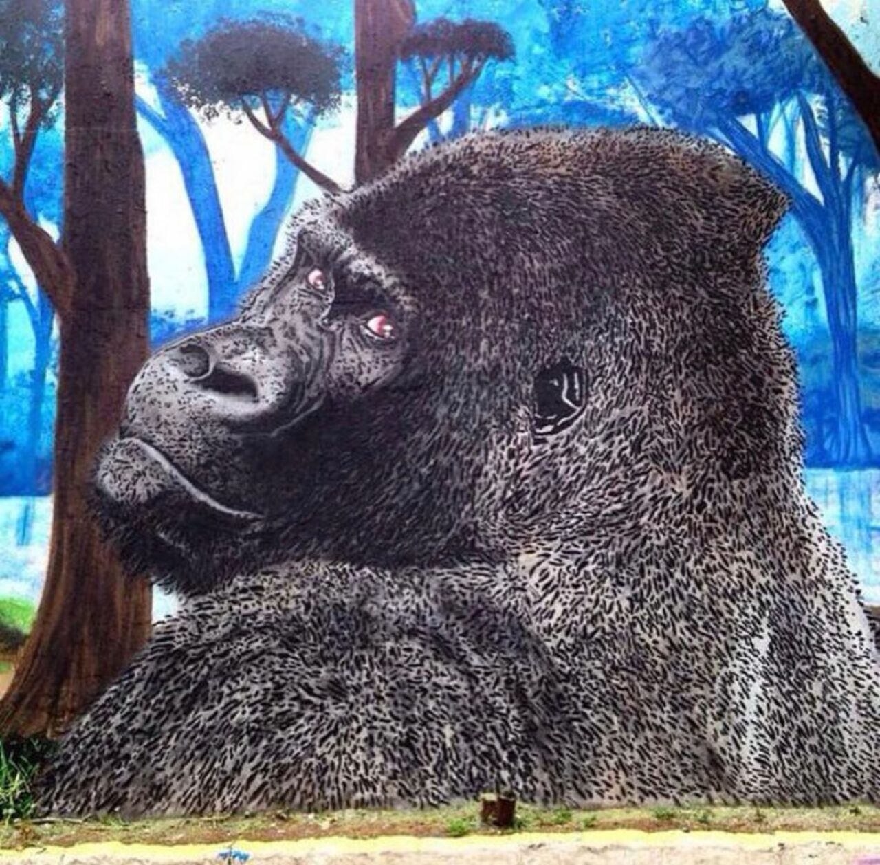 New work by Thassio in Sao Paolo, Brasil #streetart #mural #graffiti #art https://t.co/hOZAlR6whB