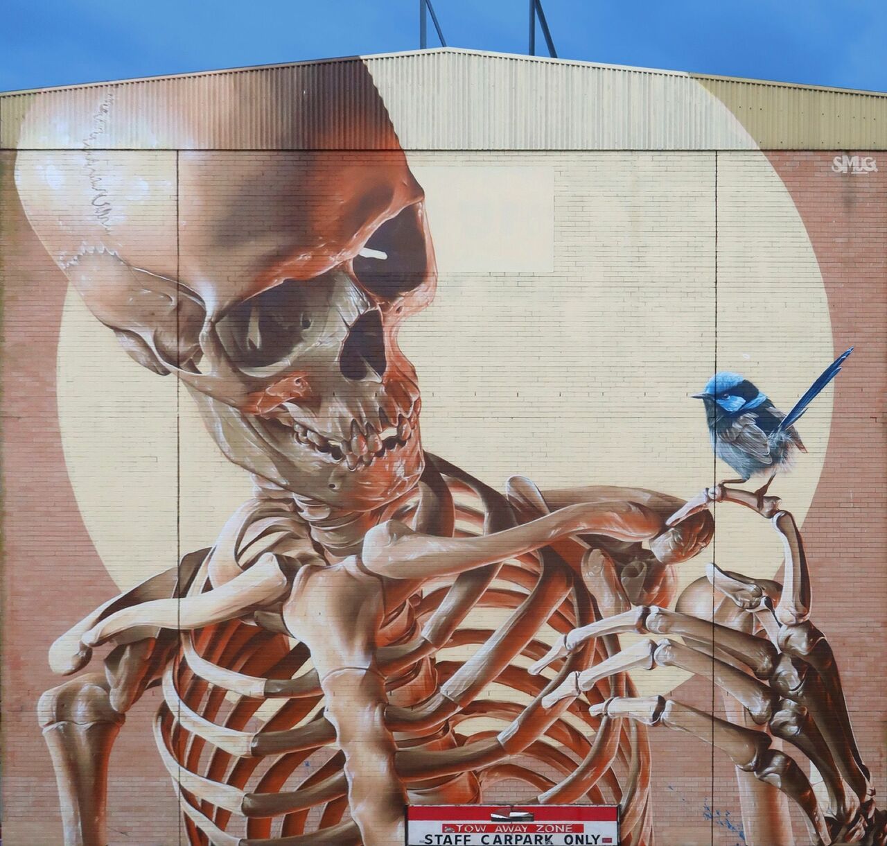 Smug for The Big Picture Fest in Frankston, Australia #streetart #mural #graffiti #art https://t.co/WTrW99GJvT