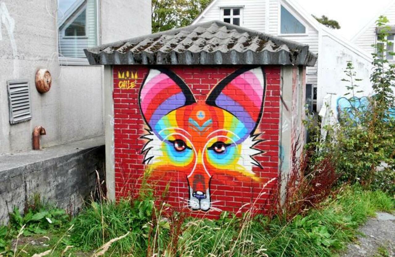 A fox by an artist from Chile
Stavanger, Norway

#streetart #art #graffiti http://t.co/Q8jdLgXxWK