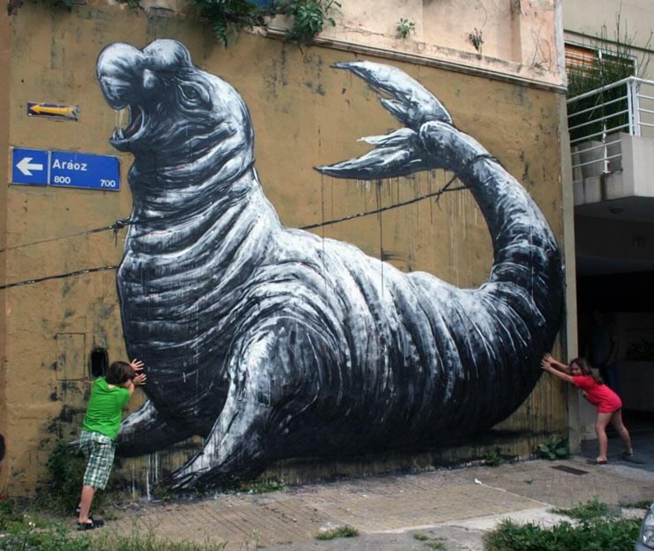 “@Pitchuskita: ROA with EVER 
Buenos Aires, Argentina

#streetart #art #urbanart #graffiti #mural http://t.co/MOHBEQav0L”