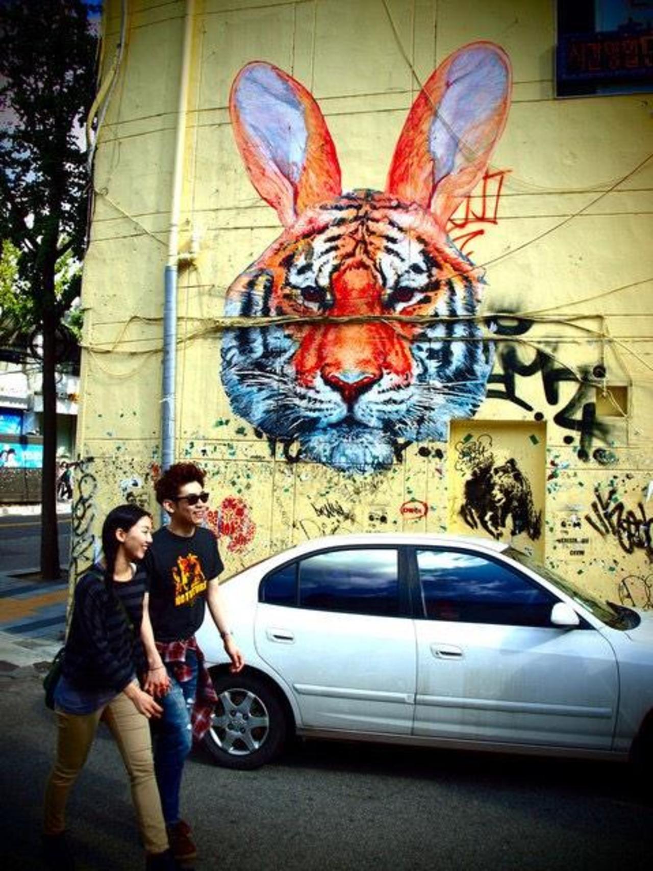 Gaia / "Walk on the Wild Side”
Seoul, South Korea

#streetart #art #graffiti http://t.co/om7XhvIVjK