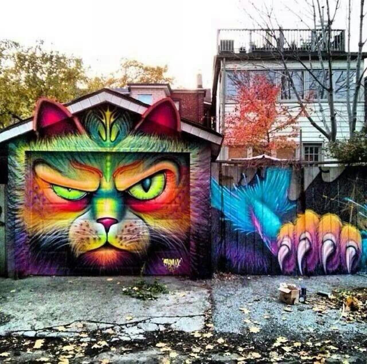 Psychedelic Fur #streetart #graffiti #cat #art #funky #dope . : http://t.co/8mmSq5A9ml