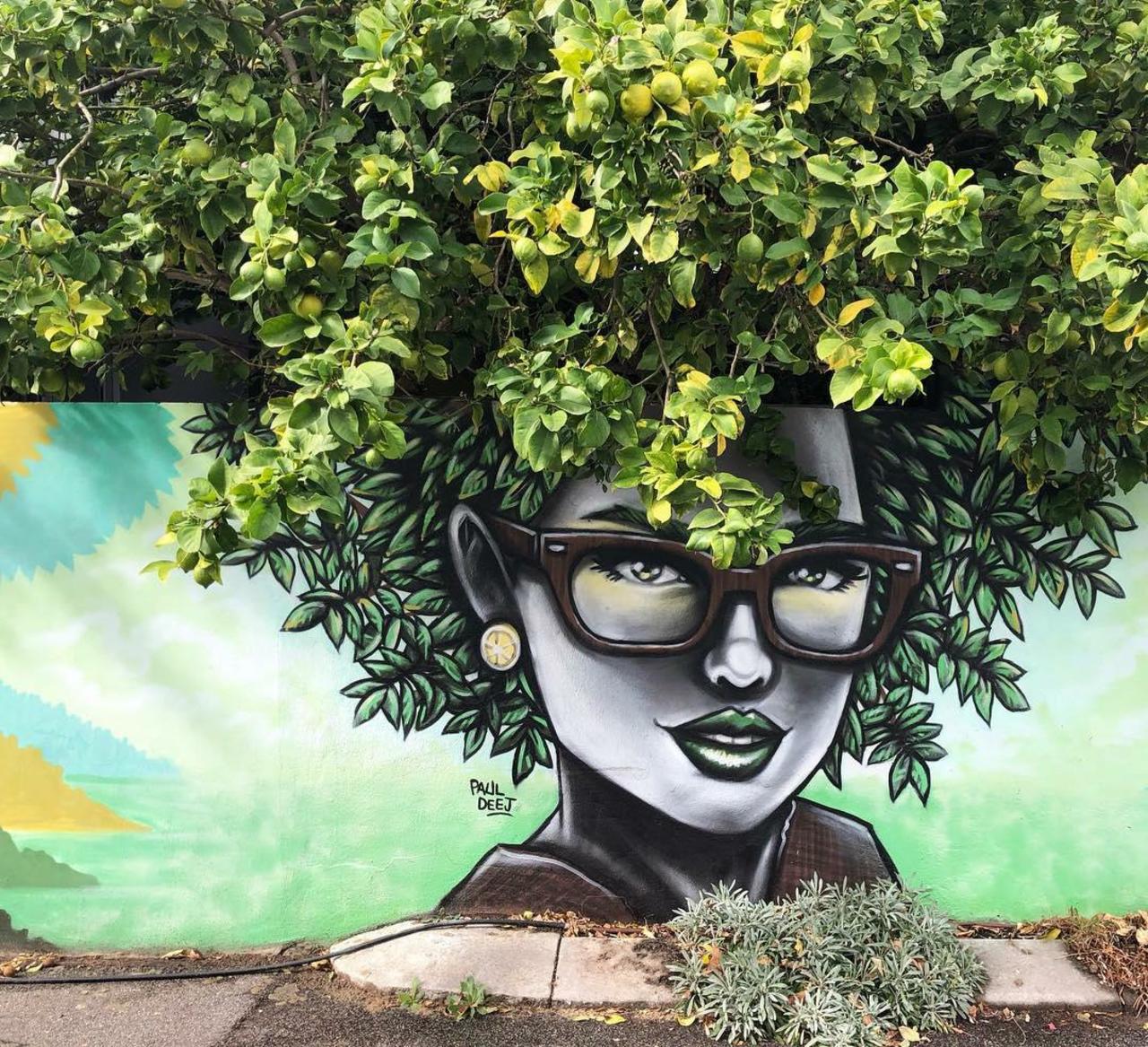 The Lemon Lady! Mural Art by @paul_deej . . . #pauldeej #art #artist #streetart #muralart #graffiti #urbanart #streetartaustralia #artistsnartlovers https://t.co/UWNAzPVALS