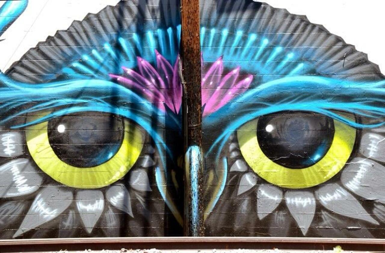 Owl mural done by Super Talented artist,  JEFF SOTO @jeffsotoart #streetart #graffiti #art #urban #mural #owl #LA http://t.co/GXzDW7IkKj