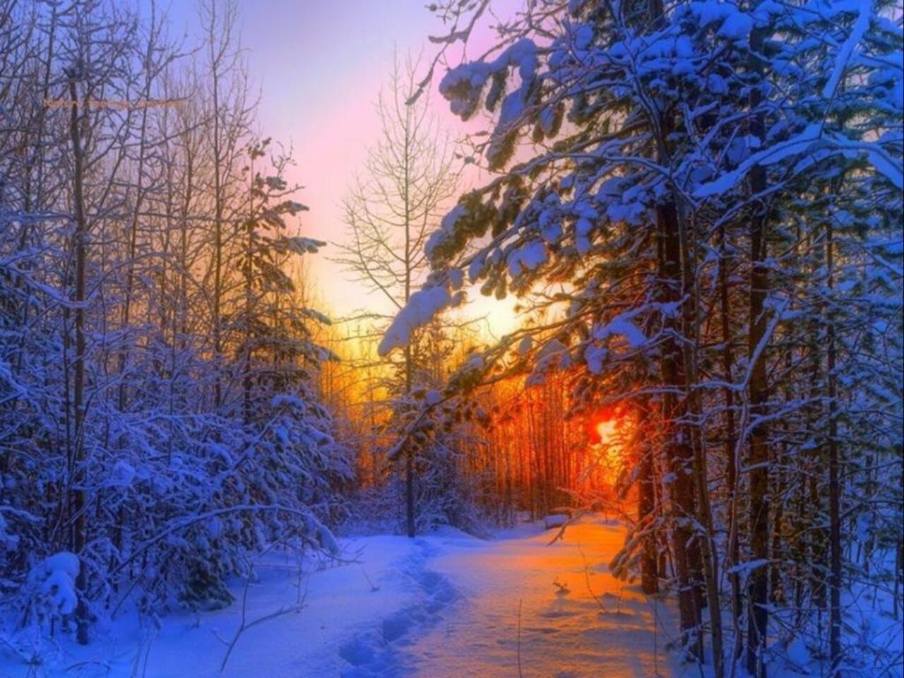 Sunset, winter, landscape - #photo #art #artwit #twitart #iloveart #sunset #forest #fineart #nature #followart ___ http://t.co/5CoxWTNDoY