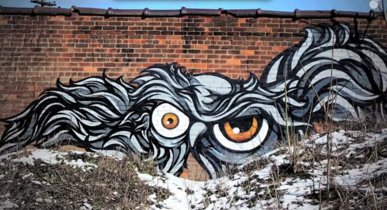 a RIDICULOUS #StreetArt #Owl #mural flying the streets of #DETROIT- #GiveAHoot #graffiti #Urban #wall #art http://t.co/EdZ2RR5LGe