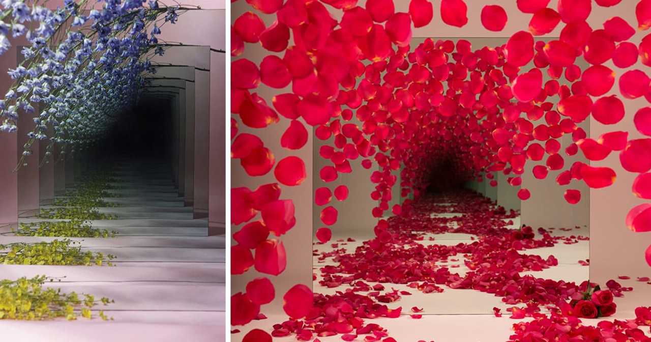 Mirrored Installations by Sarah Meyohas Create Infinite Tunnels Strewn With Dangling Flowers