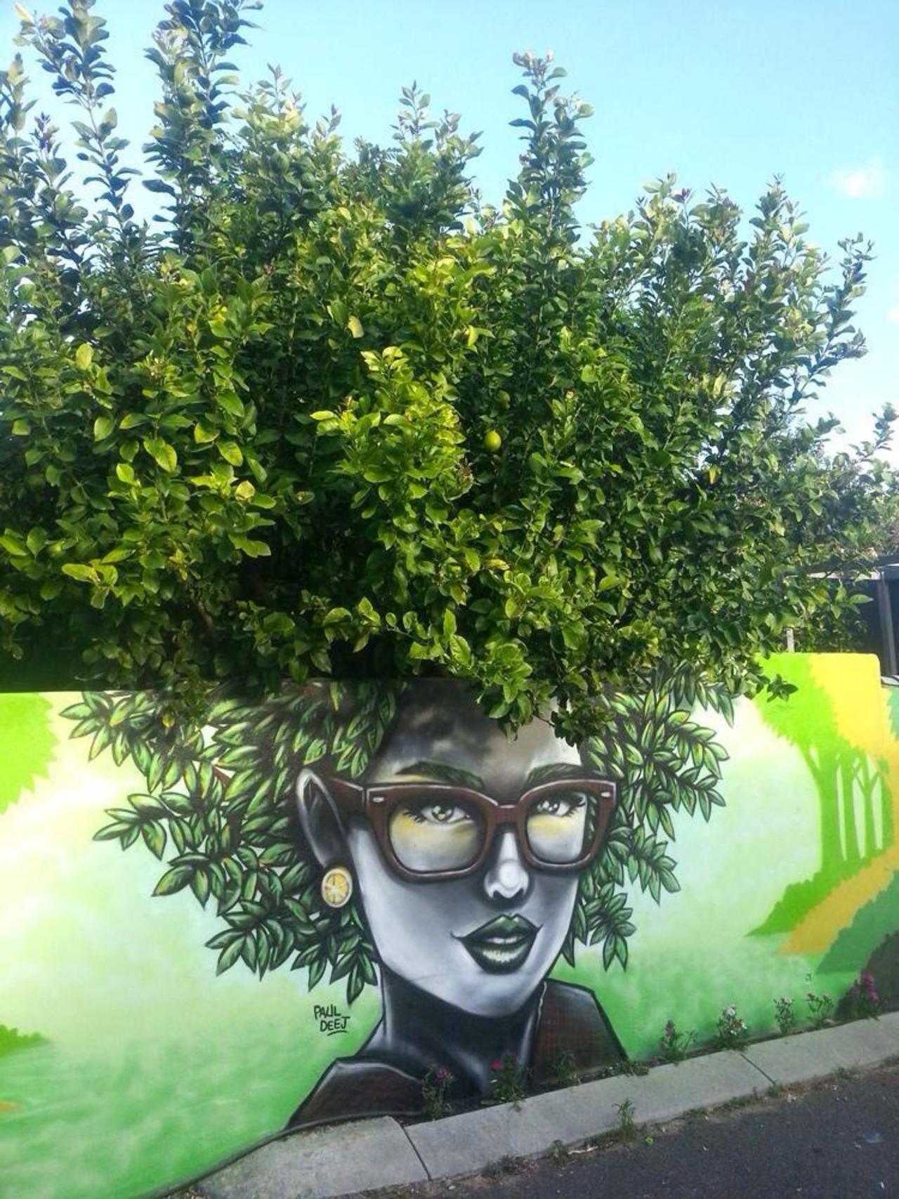 RT @AnneMortier1

Artist #Paul_Deej - When Street Art meets Nature - Perth, Australia #art #streetart

http://t.co/TkKcfCrSLm
