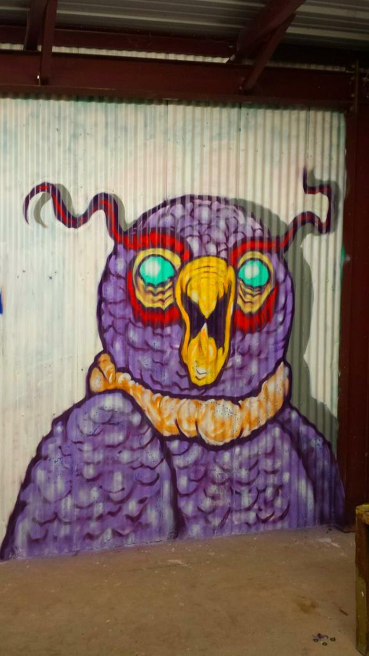 "Not givin a hoot" #owl #character #characters #bird #graffiti #mural #graffiti #nocturnal #spraypaintonly #art http://t.co/8btXP05BtP