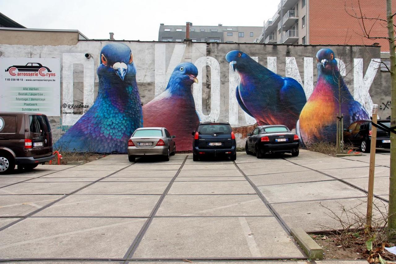 “@RRoedman: #streetart #graffiti #mural pigeons in #Antwerp from #SuperA  , 6 pics at  http://wallpaintss.blogspot.nl http://t.co/VFuGR9VCak”