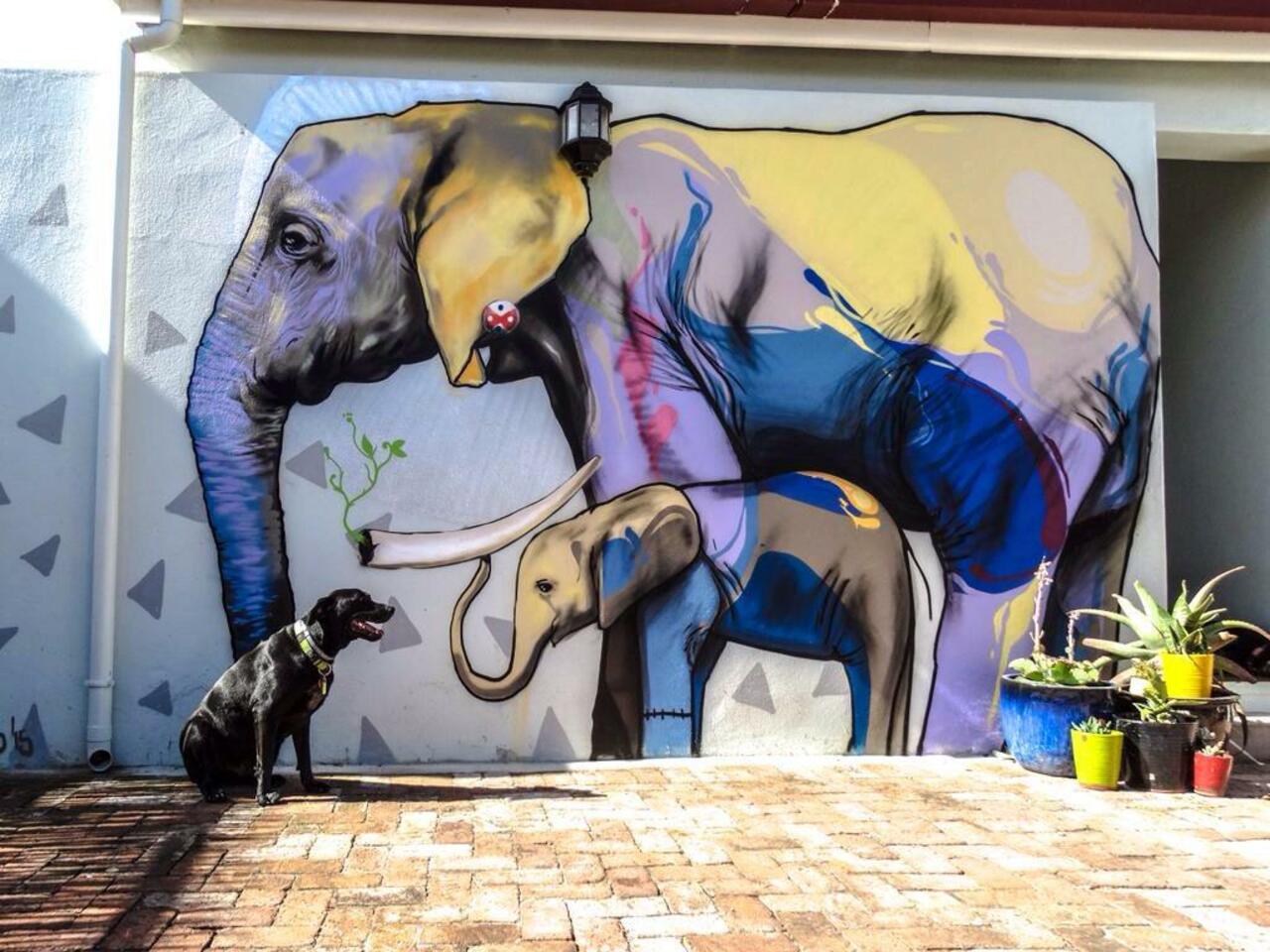 Latest nature in Street Art piece by Falko Paints In Cape Town

#art #mural #graffiti #streetart http://t.co/MJJDuSijgv
