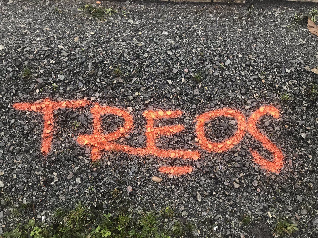 When you find yourself at work in the pouring rain with spray paint and a fresh pallet.... @TreosOfficial is coming  #TREOS $TRO $GCR #Stability #StableToken #Gold $BTC $ETH $LTC #Bitcoin #CryptoNews #Graf #Graffiti #BTCArt #StreetArt #Tagger #Tag https://t.co/YBjrtBDYg9