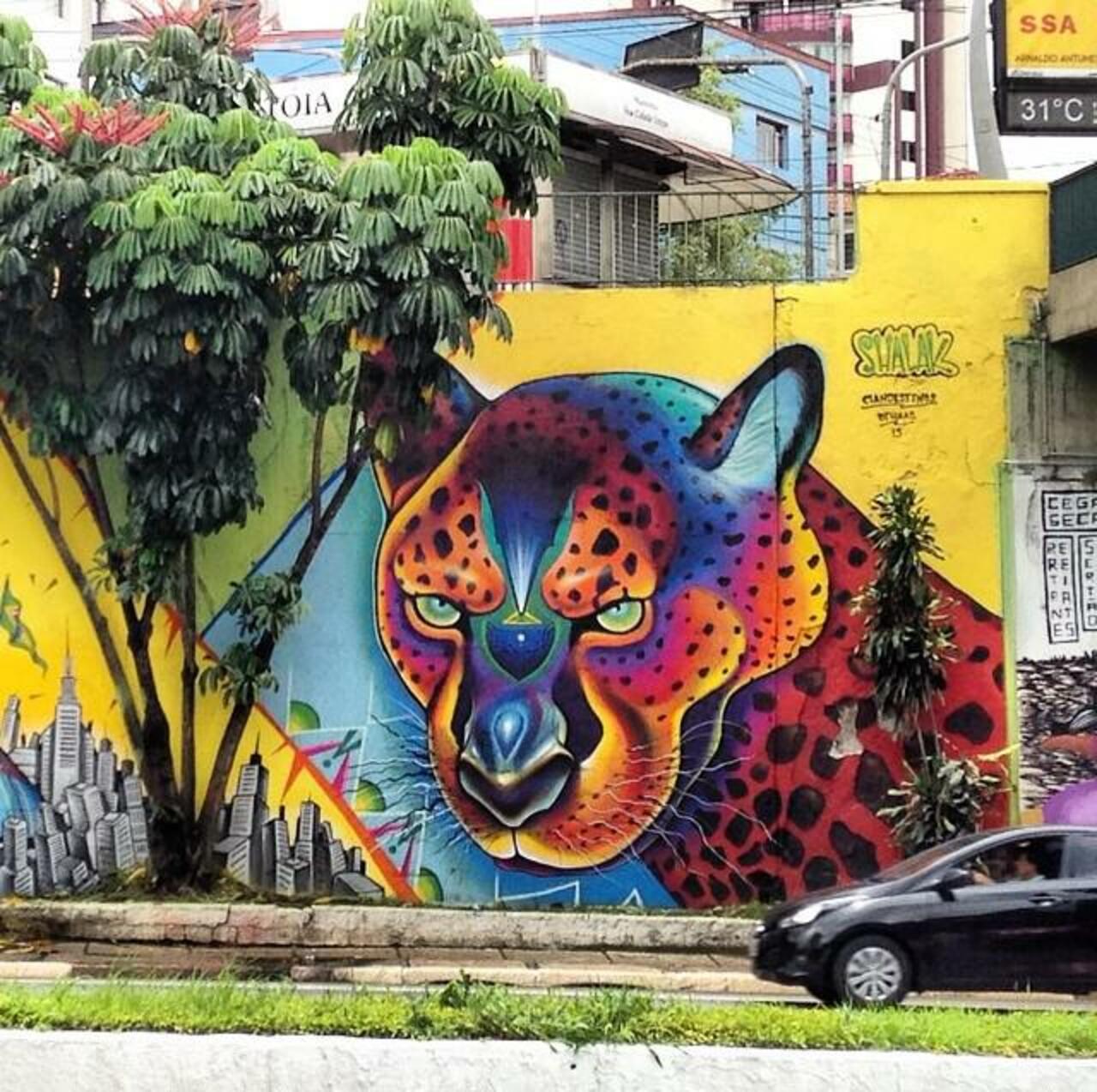 Artist ShalakAttack beautiful & colourful nature in Street Art piece in São Paulo 

#art #graffiti #mural #streetart http://t.co/05nfWawtRP