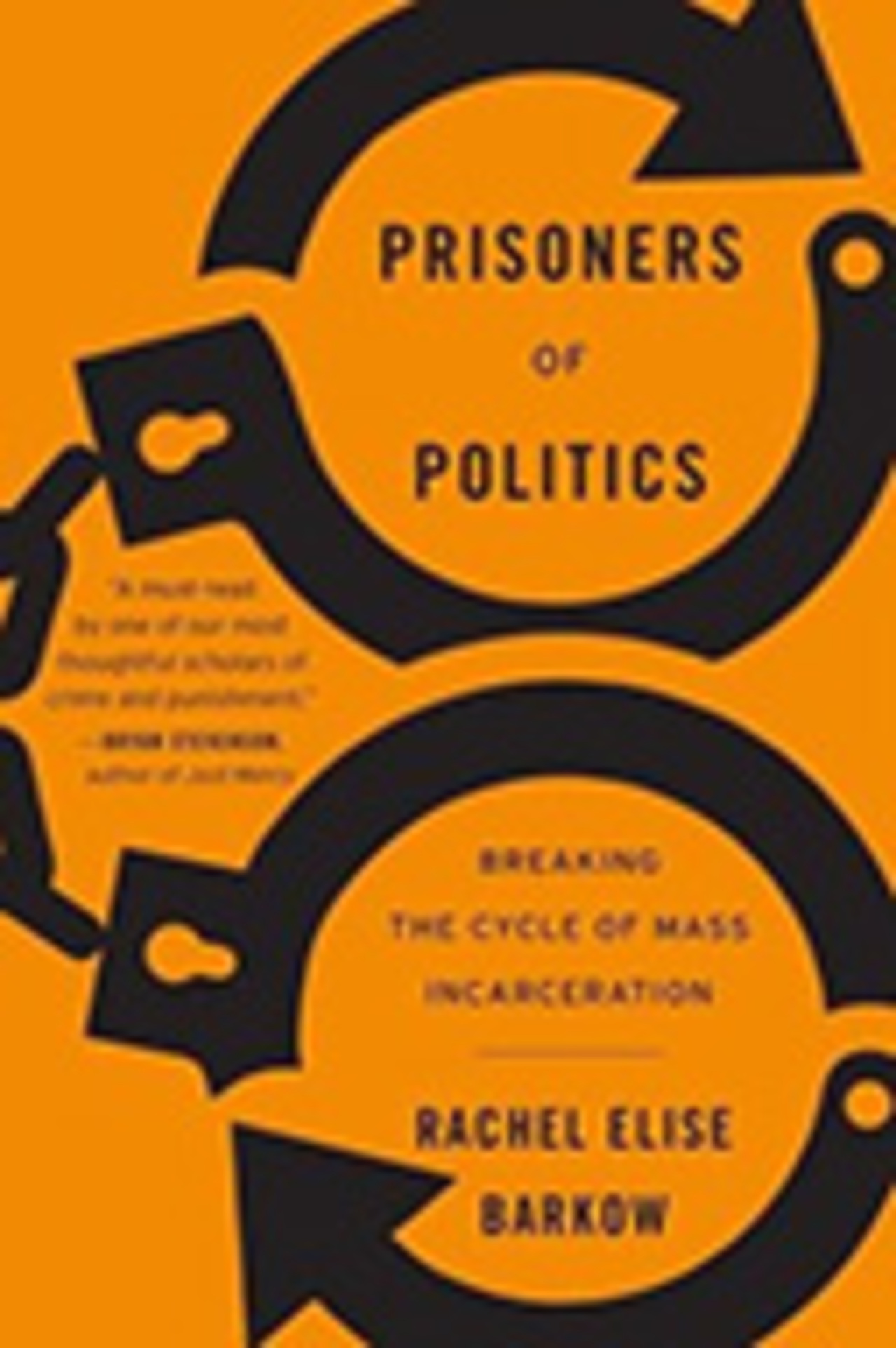 Prisoners Of Politics: Breaking The Cycle Of Mass Incarceration – (The Politics of Criminal Justice Reform)