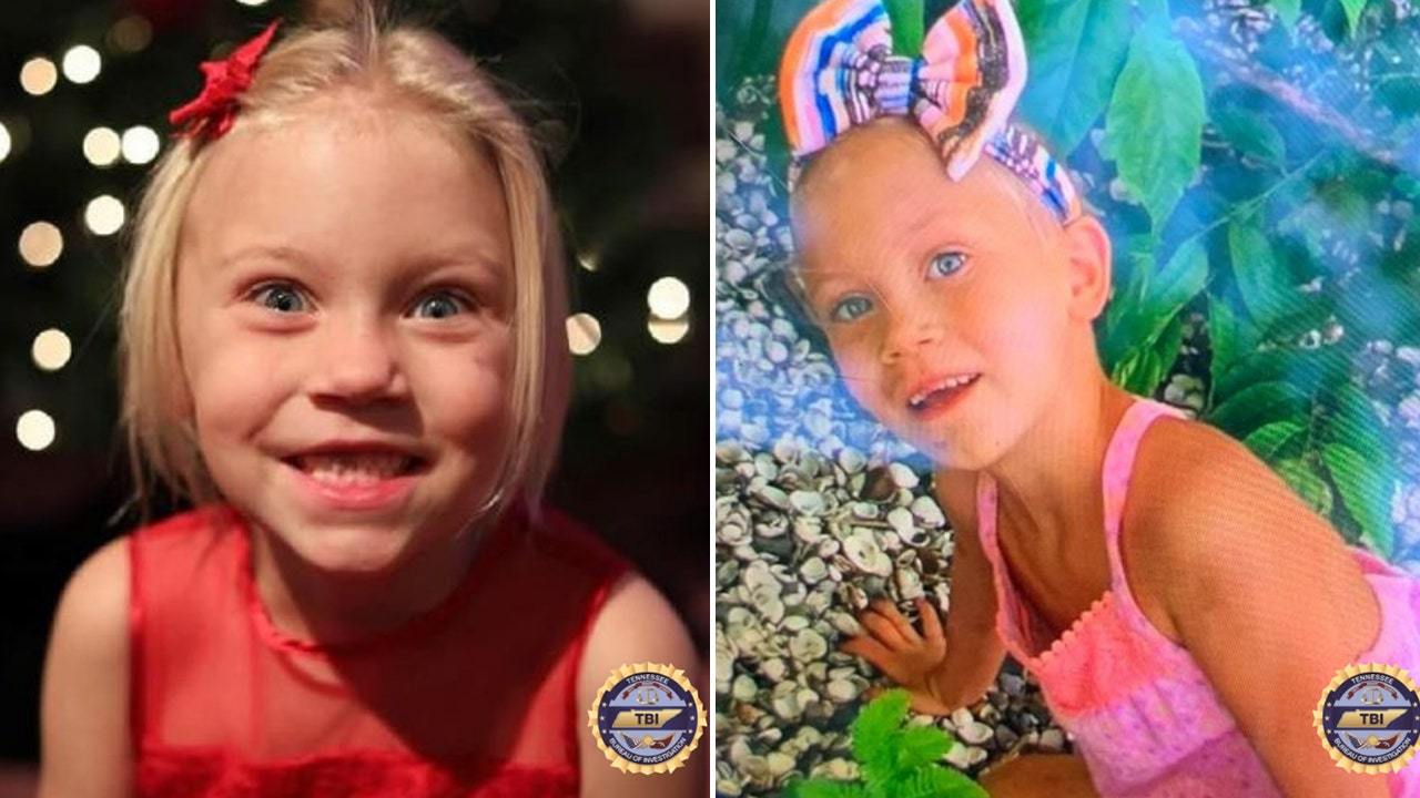 Missing Tennessee girl Summer Wells' parents both have criminal records
