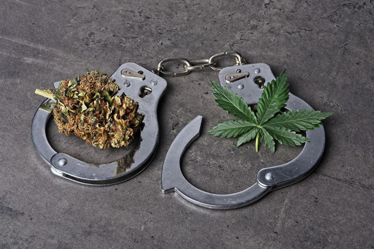 Short PBS Film Series Highlights Injustice Of Cannabis Prosecution