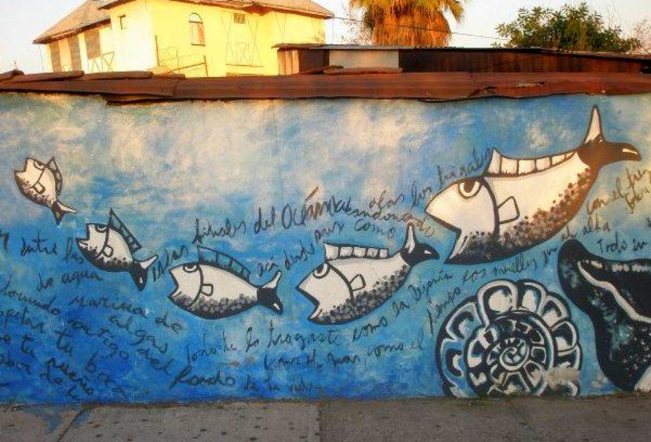 “@hypatia373: #art #streetart #graffiti http://t.co/sZssxsjTQS”