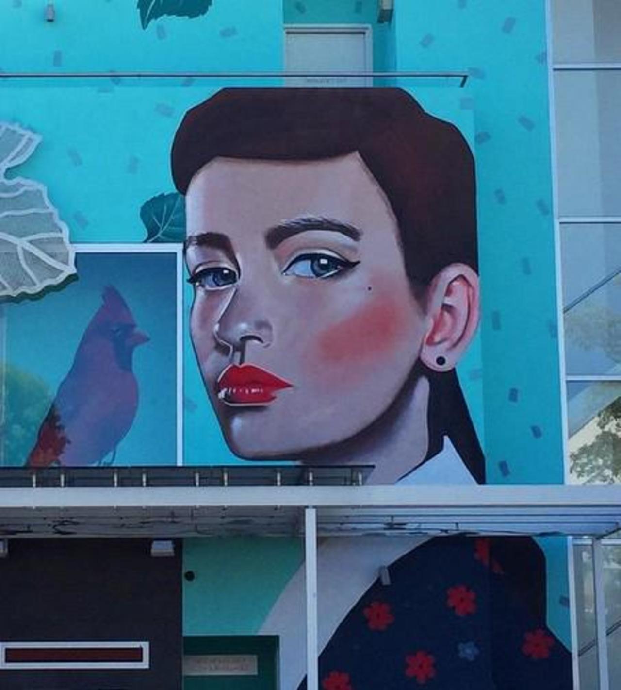 Superb large scale Street Art portraiture by Lisa King in Adelaide

#art #arte #graffiti #streetart http://t.co/N6rAOxTLm6