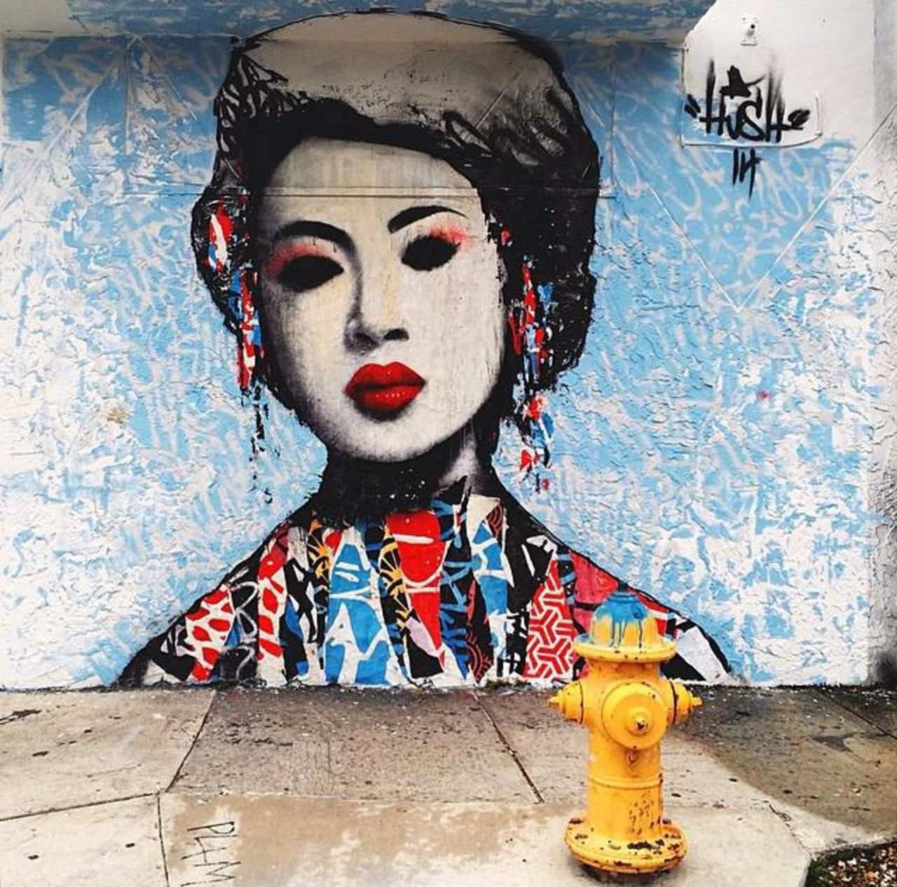 Hush - Wynwood, Miami 

#art #streetart http://t.co/m8Qjs8mp2H via @GoogleStreetArt