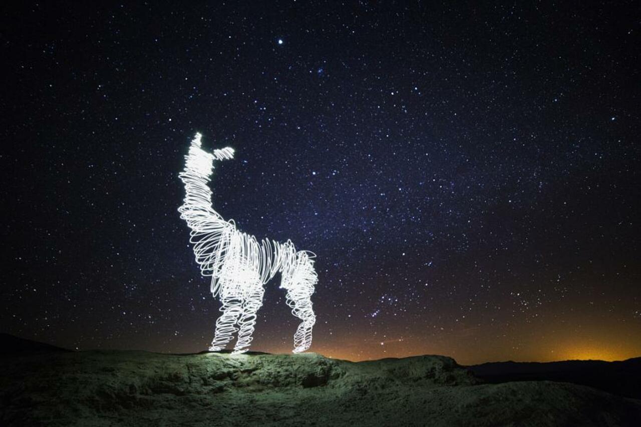 Stellar #Alpaca by #Dariustwin - http://www.covergap.com/stellar-alpaca-by-dariustwin/ #Animal #Astrophotography #LightArt #LightDrawing http://t.co/fSRxF9irN4