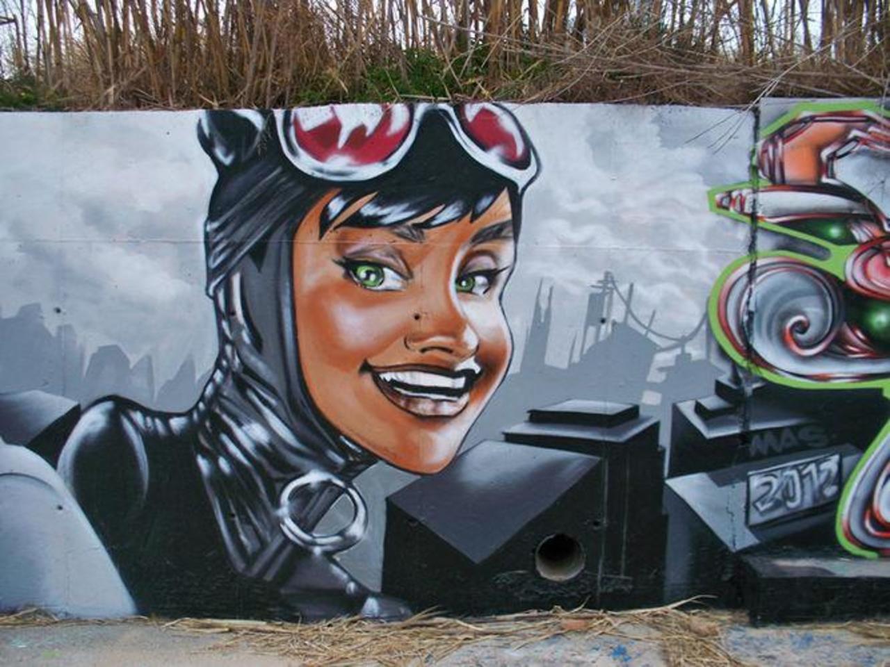 #UBW - A few #StreetArt pieces by MAS SGT from Bordeaux, #France - #Graffiti #Mural #Portrait #Cat #KittyOnCardboard http://t.co/uEyvix3cbI