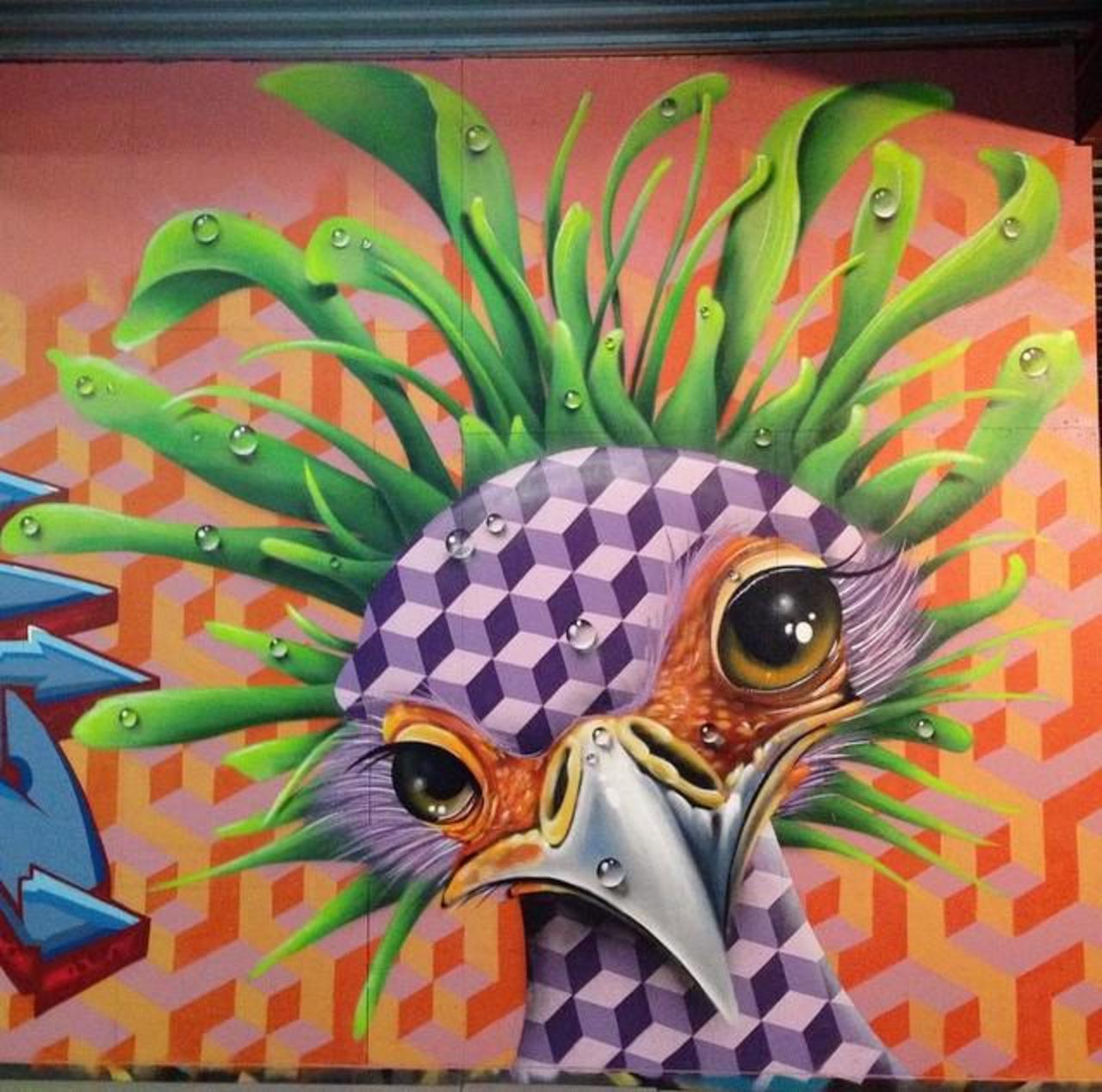 "@GoogleStreetArt: Love this nature in Street Art by the artist TimTimmey 
#art #mural #graffiti #streetart http://t.co/DVTbtzfwdZ"