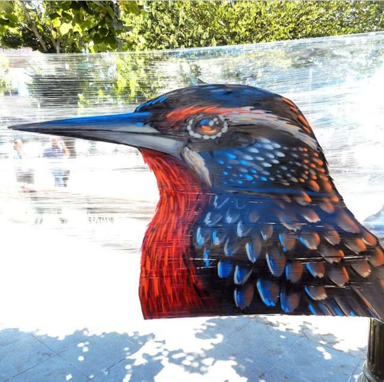 Nature in Street Art on stretched cling-film by Ren Graffiti  

#art #graffiti #mural #streetart http://t.co/Y8ae131QlO