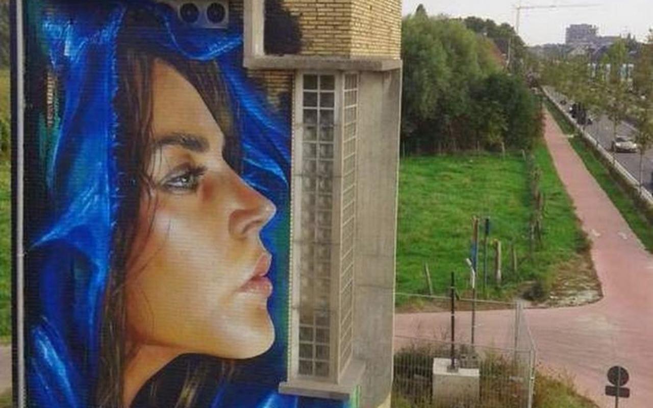 RT "@EseGraffiti: Bélgica
Artista: Adnate
#art #streetart #mural #graffiti http://t.co/l0LZHdGZ4w"
