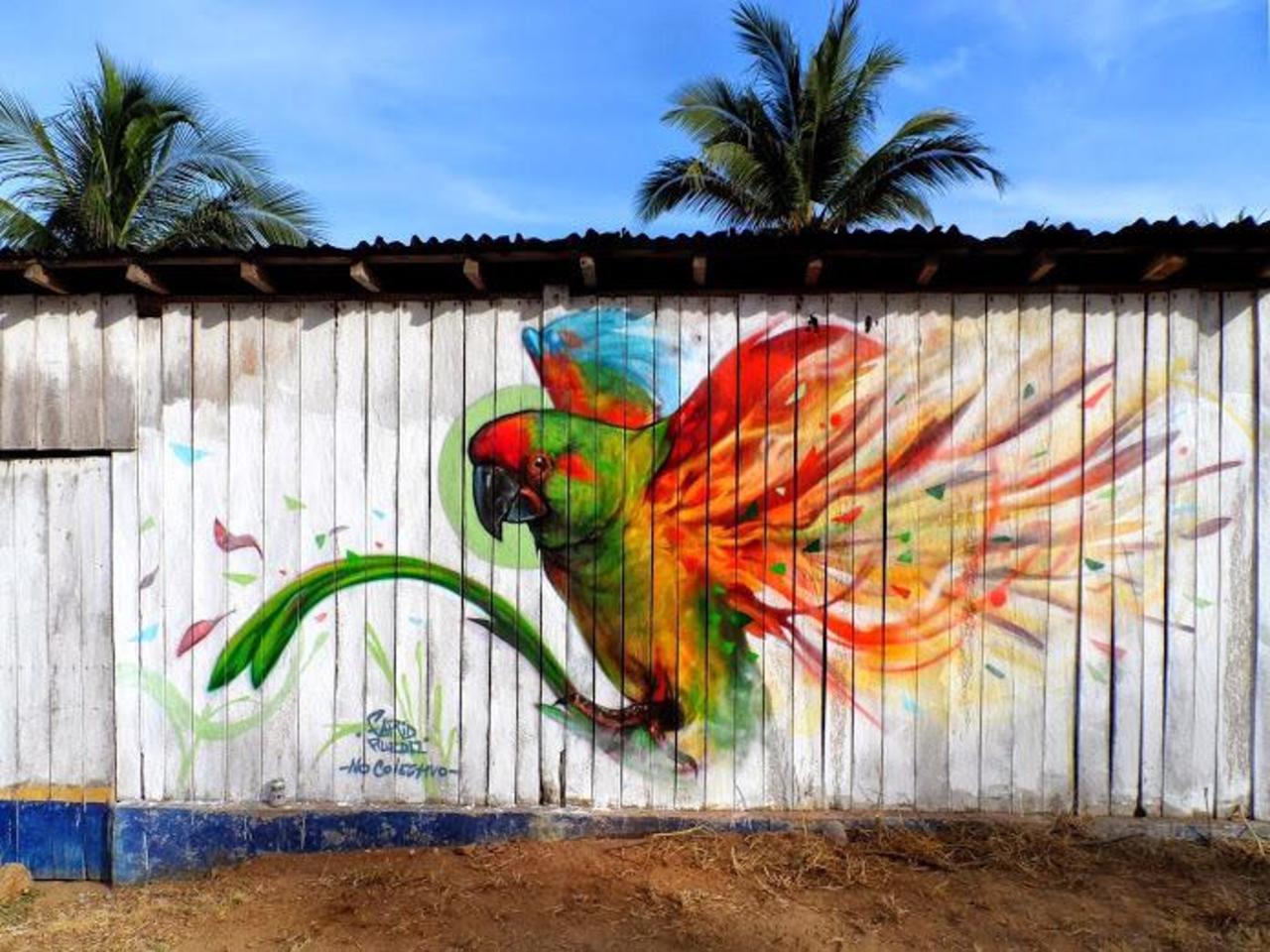 Farid Rueda
Michoacán, Mexico
#streetart #art #graffiti #mural http://t.co/8ojTXFjCU8