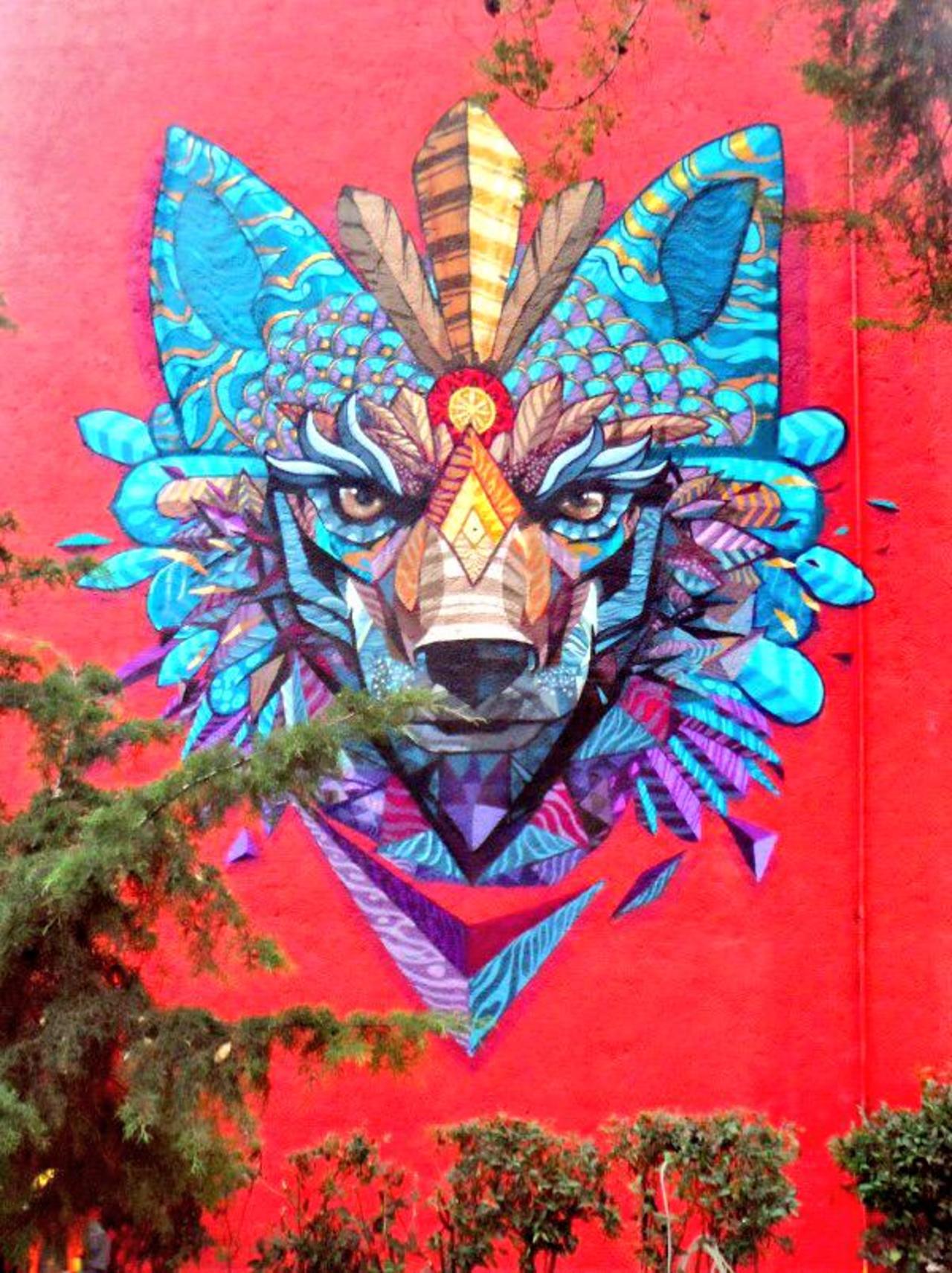 Farid Rueda
Mexico
#streetart #art #graffiti #mural http://t.co/QJ7tdOOSyX