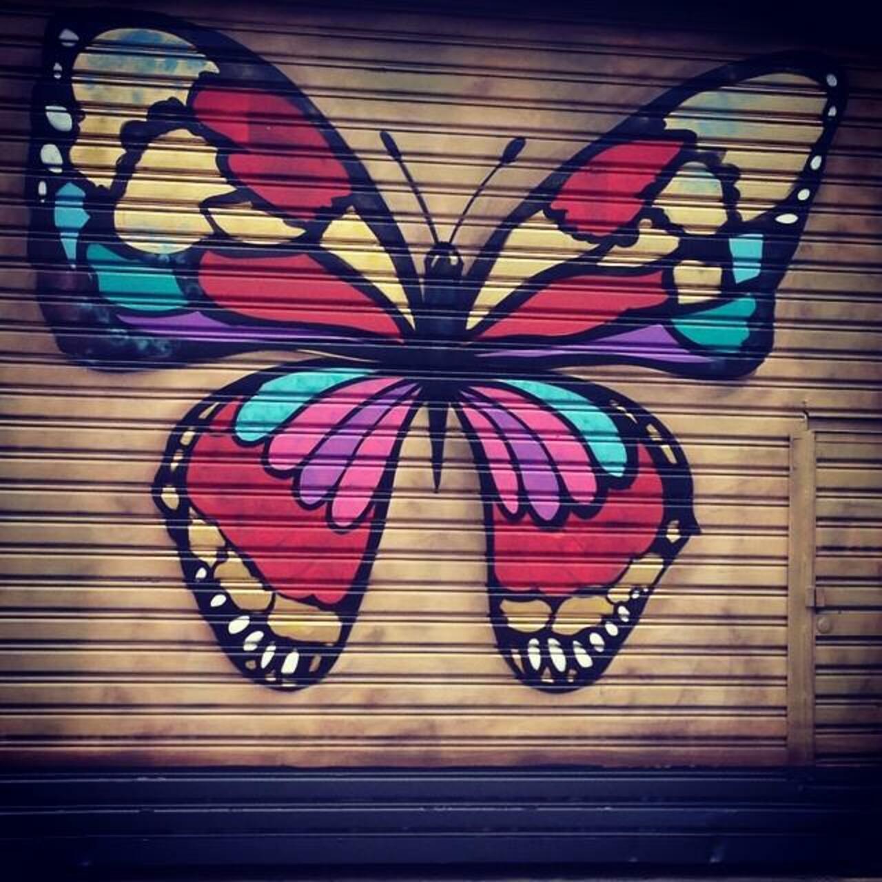 Pretty #butterfly #colourfulbutterfly #beauty #streetart #graffiti #graffitiart #insects #art #mural #streetartmelb… http://t.co/YYBDCNyhB4