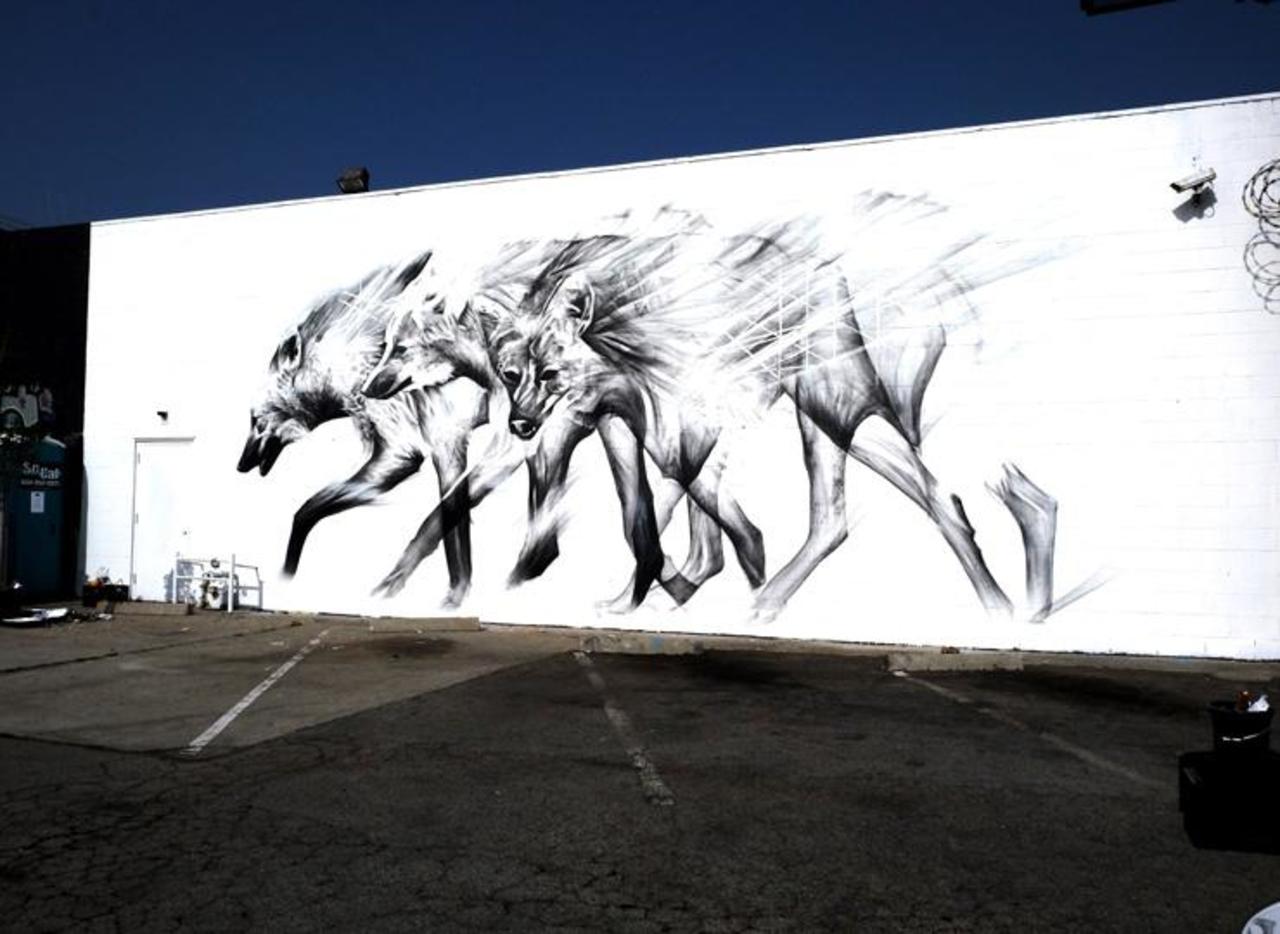 Li-Hill, Los Angeles, CA.
#mural #streetart #urbanart #graffiti http://t.co/dBVtxr66Ij