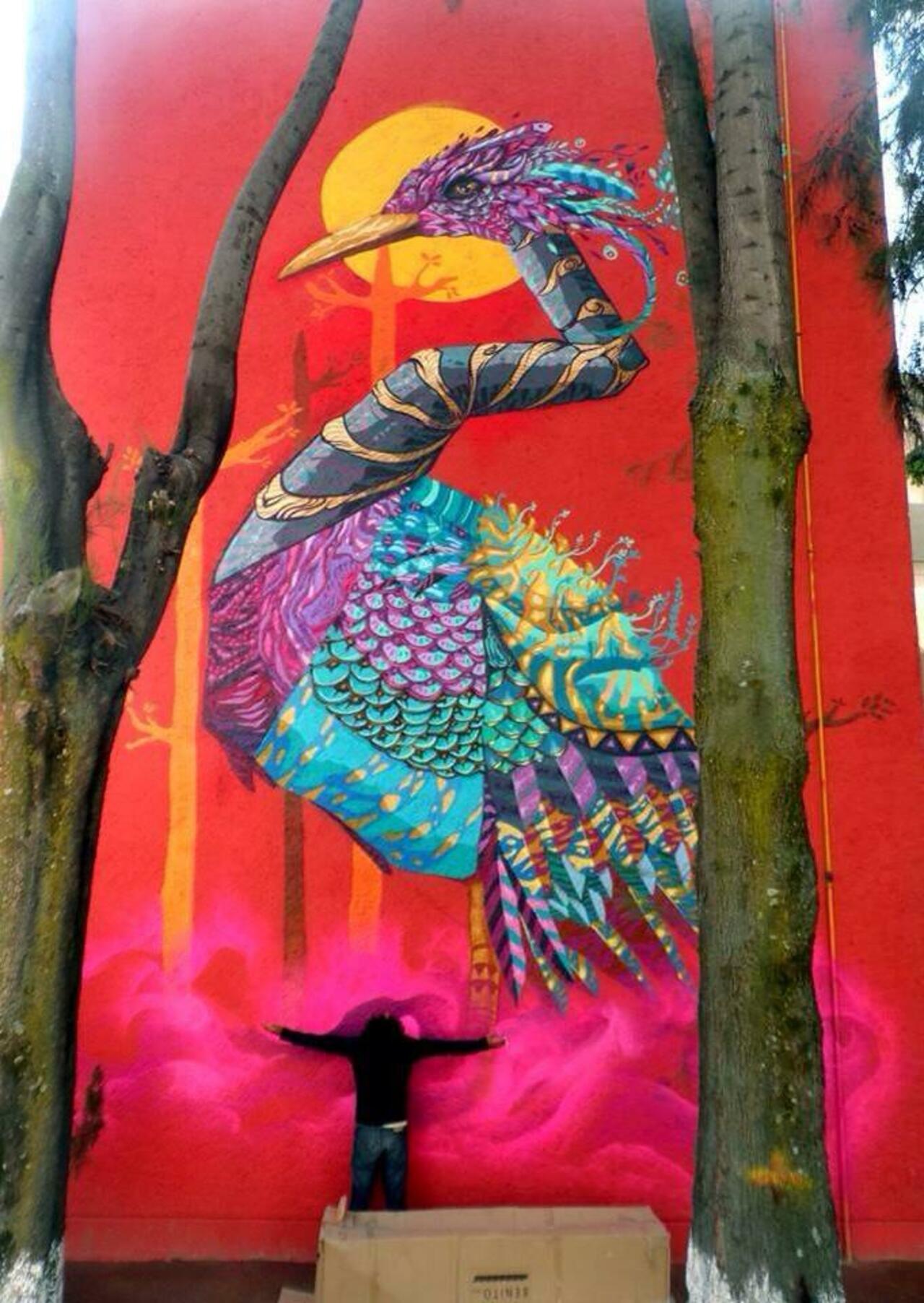 'Songs of Colour'

Sublime Nature in Street Art by NacHo Wm ft. Farid Rueda 

#art #arte #graffiti #streetart http://t.co/KGzEmVPer7