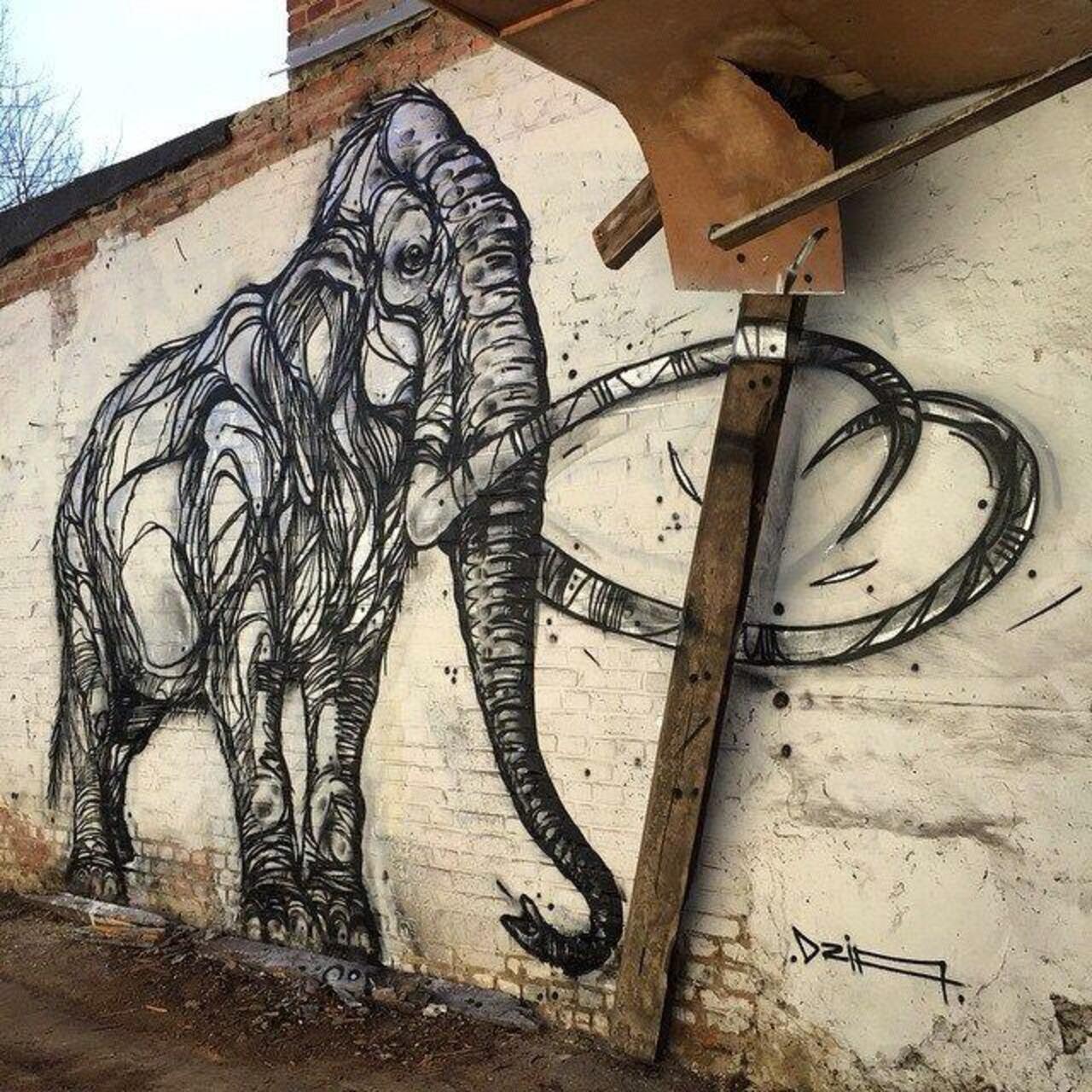 RT GoogleStreetArt "Mammoth. New nature in Street Art wall by DZIA 

#art #graffiti #mural #streetart http://t.co/SVmTZg3rEg"