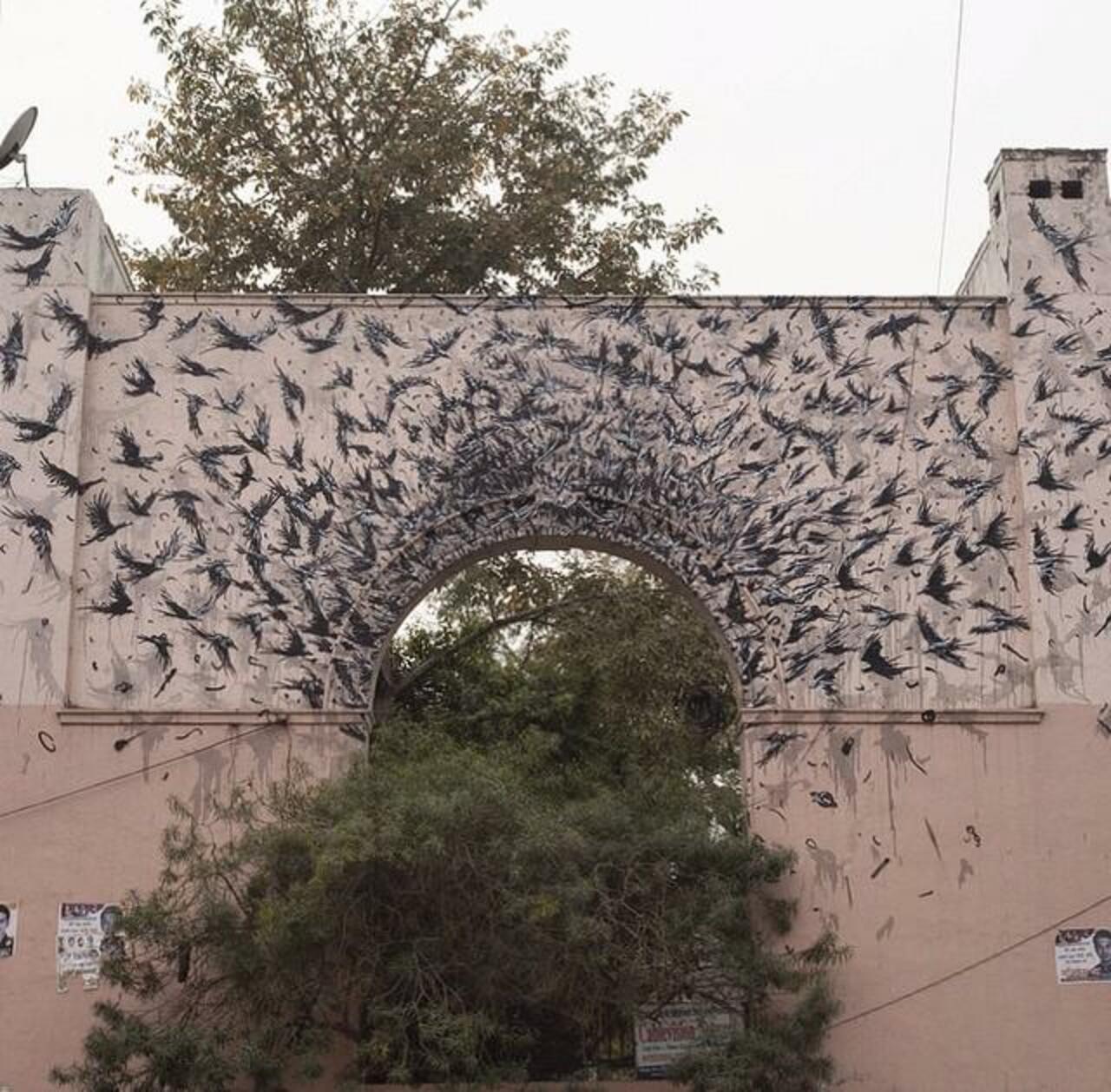 “@GoogleStreetArt: When Street Art meets Nature by DALeast in Delhi, India 

#art #arte #graffiti #streetart http://t.co/egAa7UScSW”