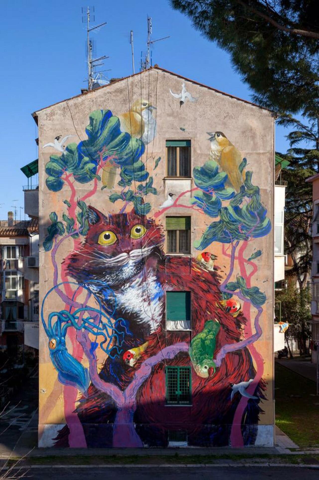 Hitnes
Rome, Italy
#streetart #art #mural #graffiti http://t.co/ZFqeNVOxaR