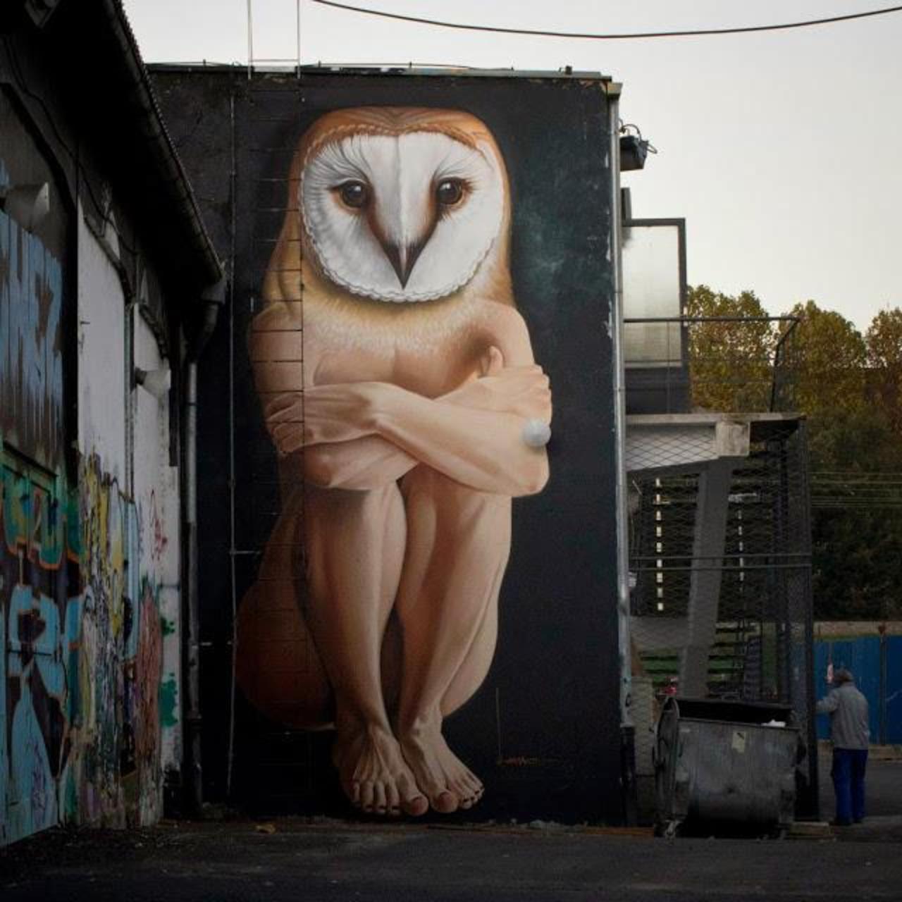 RT @allcitycanvas:Croatian #artist #Lonac​'s hyperrealistic human-owl #mural in Zagreb, #Croatia #streetart #graffiti http://t.co/jPgdJYxzcI