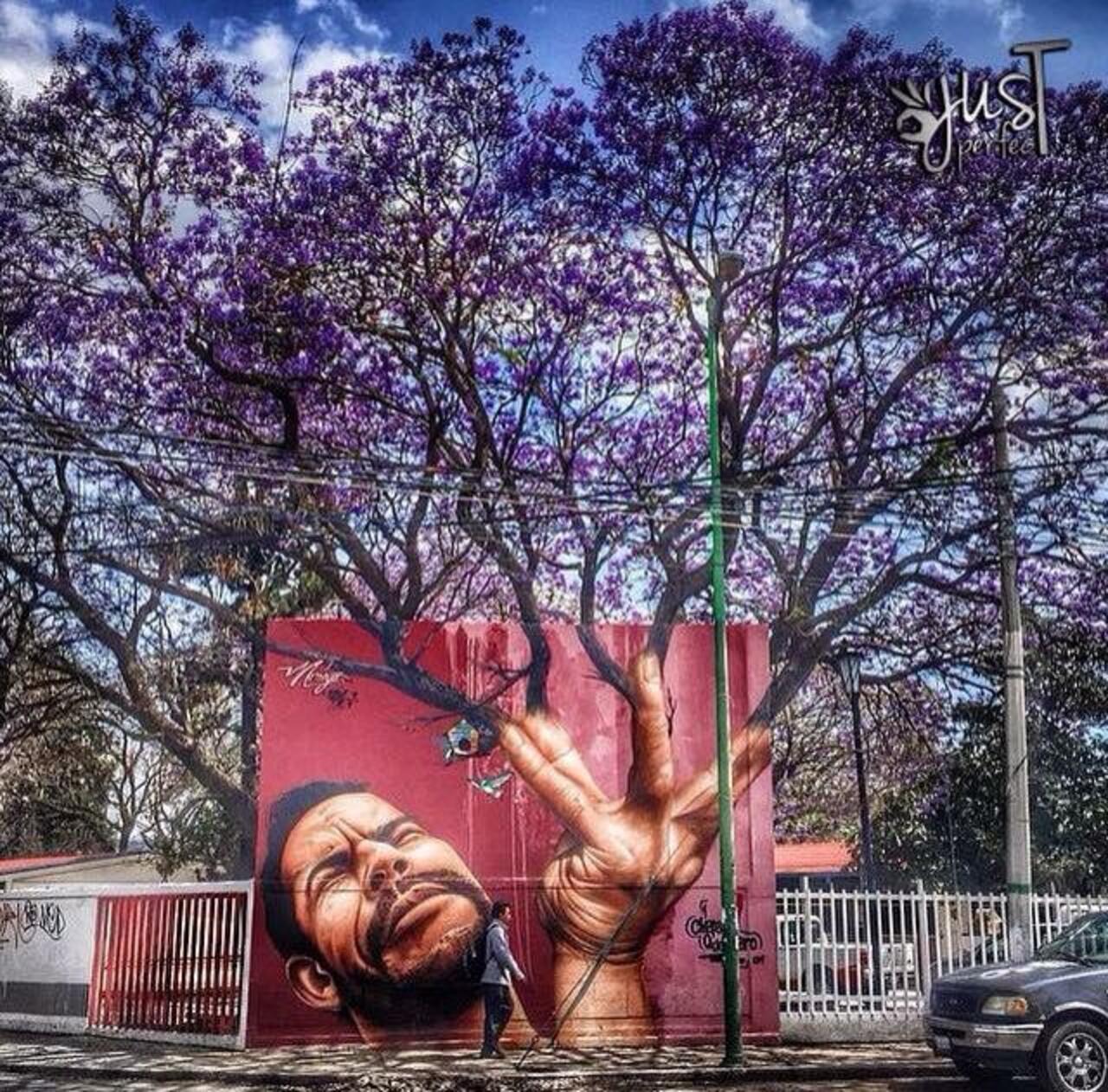 "@GoogleStreetArt: When Street Art meets nature
Work by Jose Luis Noriega
#art #arte #graffiti #streetart http://t.co/Q7vUr1nyI6"