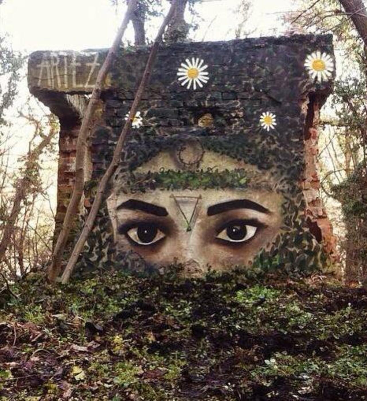 When Street Art meets nature

Work by Artez 
#art #arte #graffiti #streetart http://t.co/TmC2GfZYAF via @GoogleStreetArt
