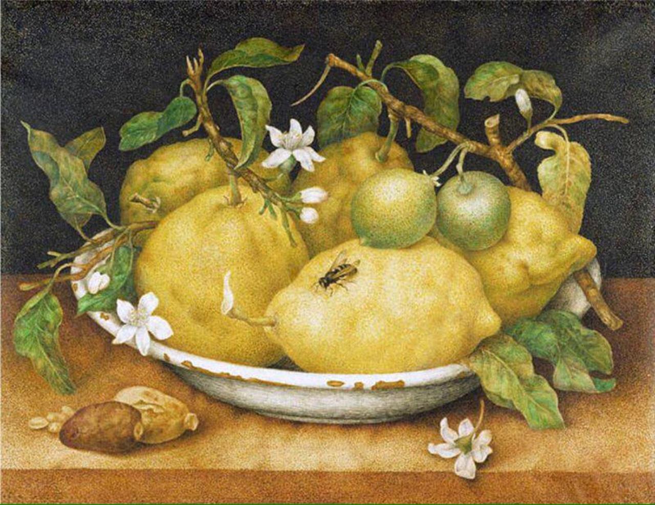 'Still Life with a Bowl of Citrons'
Giovanna Garzoni, c.1640 #art http://t.co/HeelHlwiCE