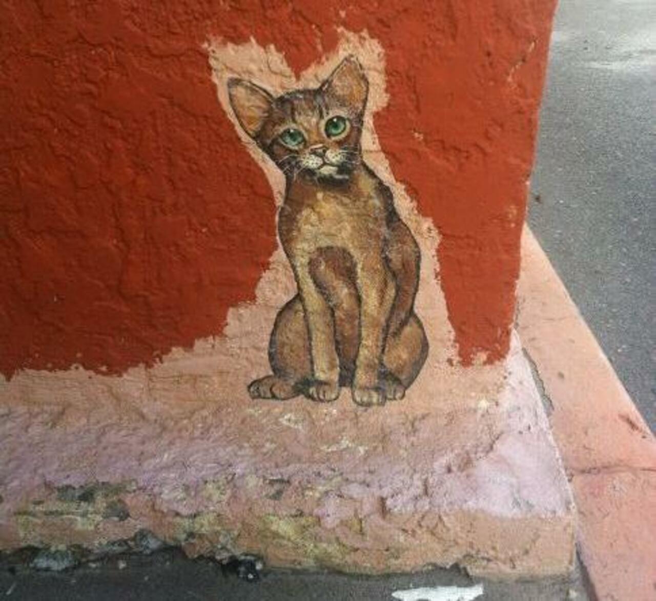 “@5putnik1: Street Cat  • #streetart #graffiti #art #cat #funky #dope . : http://t.co/uEkYObeJMQ”